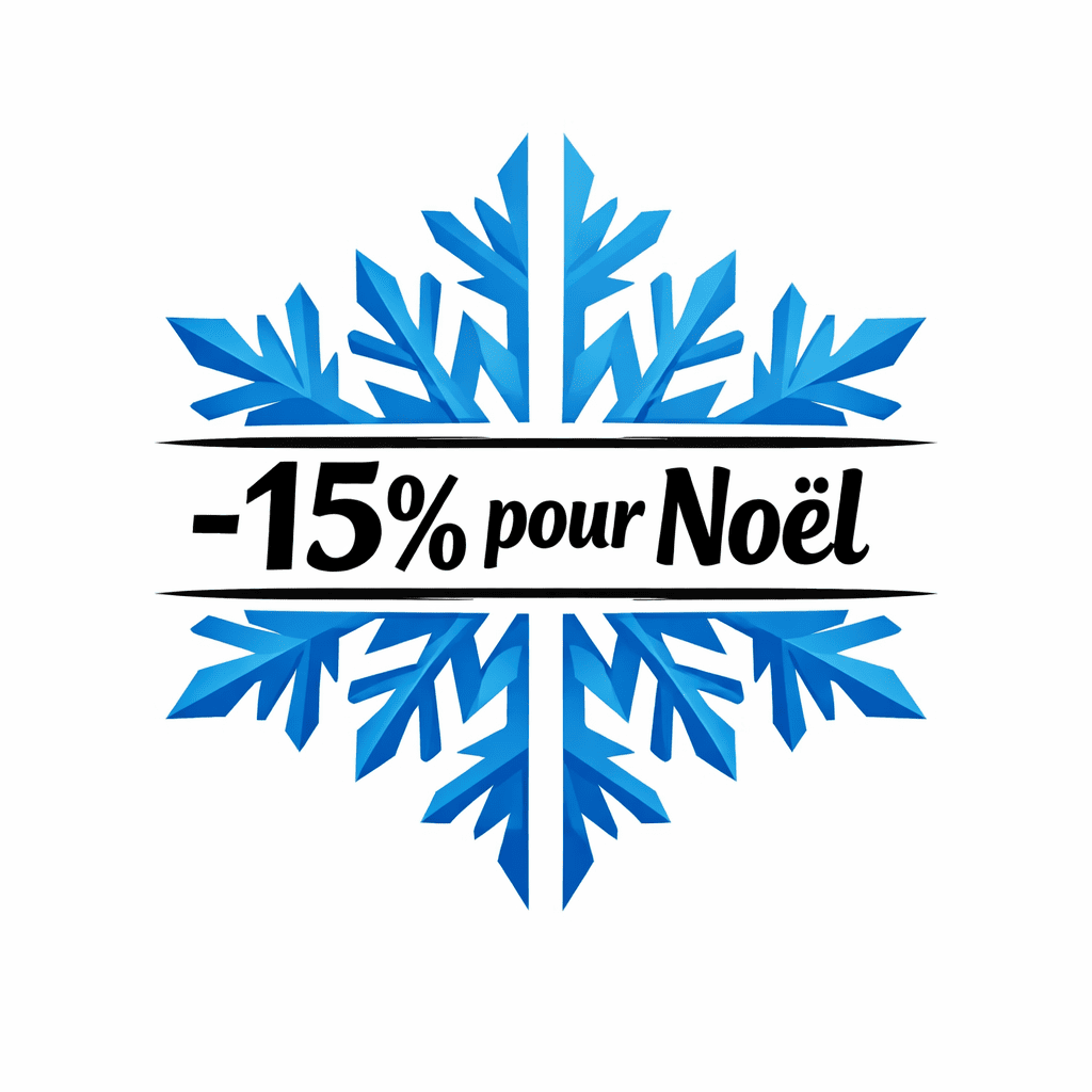 Logo Flocon de Neige pour Noël, -15% de réduction